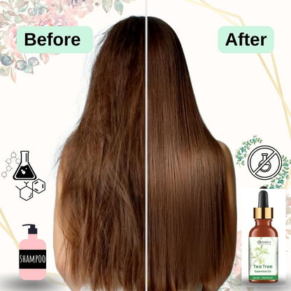 Lavender Essential Oil for Hair Growth & Relaxation - Ecocert Certified Organic - 15ml